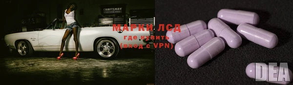 мяу мяу мука Богданович