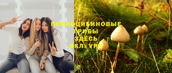 соль ск Богородицк