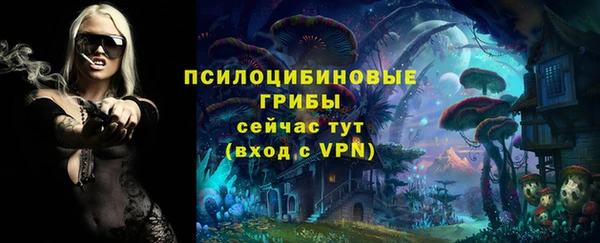 наркотики Богородск